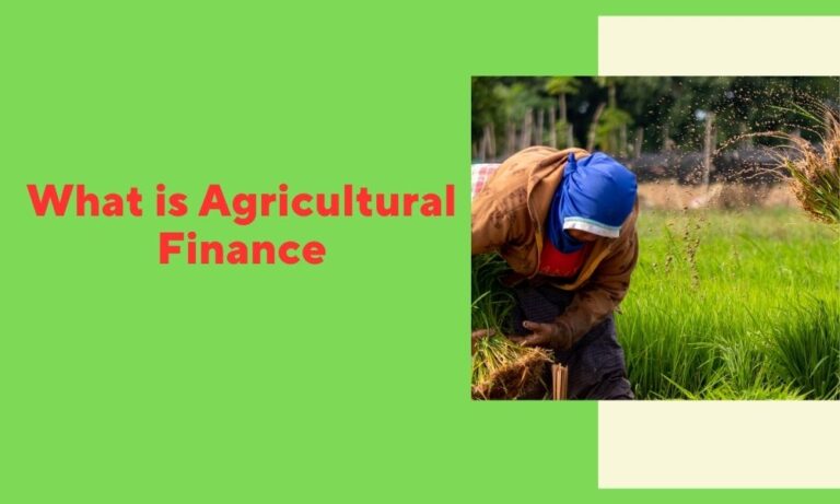 What is Agricultural Finance